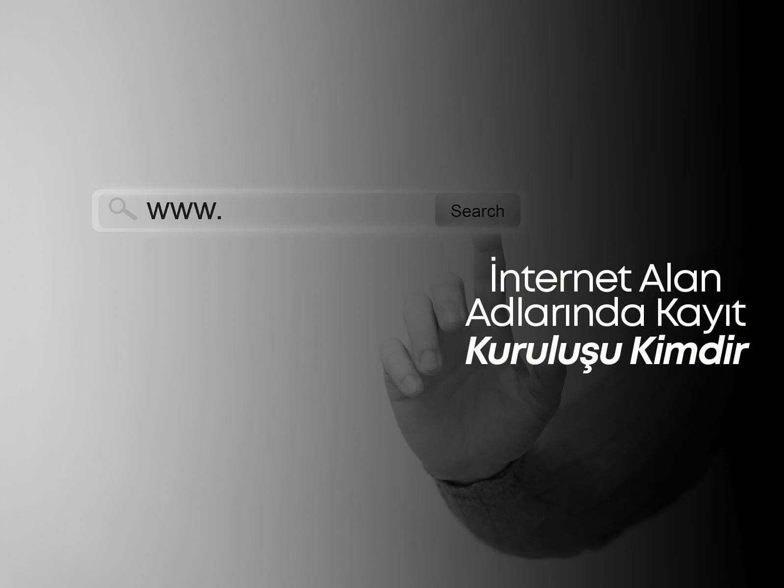 İnternet Alan Adlarında Kayıt Kuruluşu Kimdir?